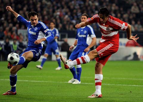 的世界里 的世界里